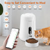 Candco 4L Automatic Cat Feeder with Camera 1080P HD Video APP