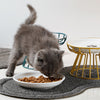 Cat Lift Bowl With Metal Stand Pet Ceramic Food Snacks Feeding Elevated