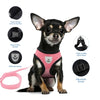 Cat Harness Adjustable Vest Walking Traction Rope Set for Dog