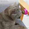 Natural Catnip Cat Wall Stick-on Ball Toy Treats Healthy Natural Removes Hair