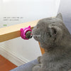 Natural Catnip Cat Wall Stick-on Ball Toy Treats Healthy Natural Removes Hair