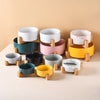 Ceramic Dog Bowl Cat Food Water Bowls with Wood Stand