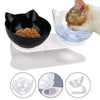 Durable Double Bowls Pet Food Water Feeder With Raised Stand