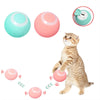 Interactive Cat Toys Ball, Automatic 360° Self-Rotating Rolling Ball