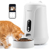 Candco 4L Automatic Cat Feeder with Camera 1080P HD Video APP