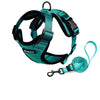 Breathable Cat Harness Leash Set Escape Proof Pet Harness Vest